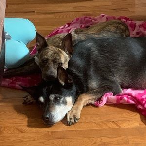 Meet your Posher, April